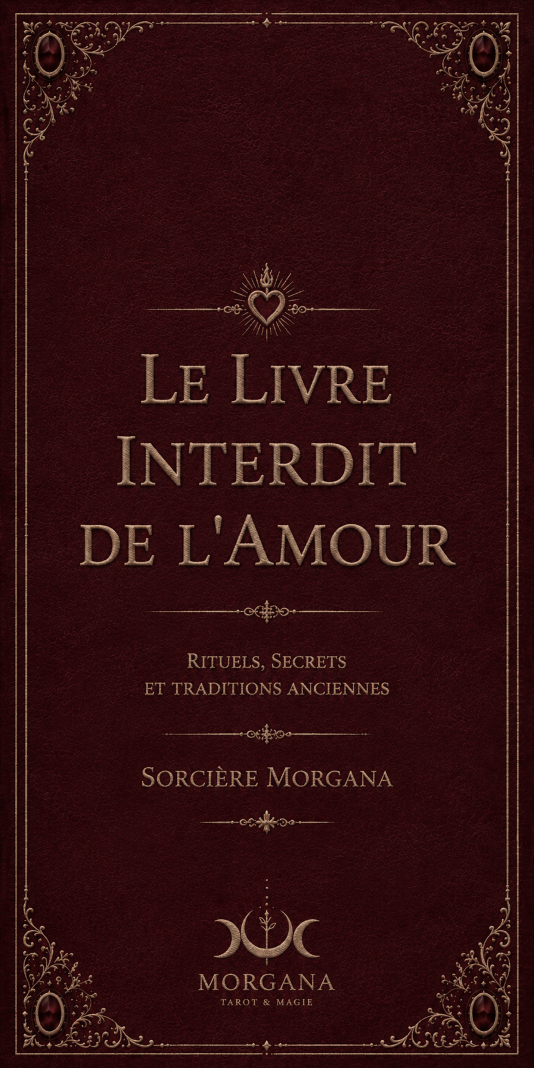 Couverture du Livre Interdit de l’Amour